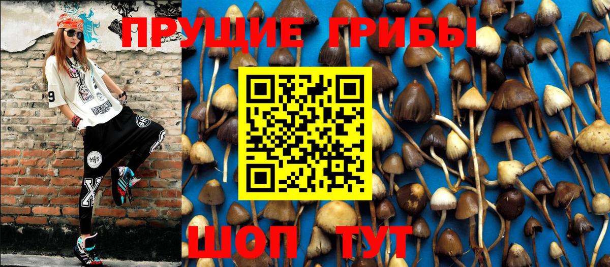 Псилоцибиновые грибы прущие грибы Феодосия