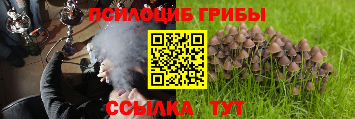 Галлюциногенные грибы Magic Shrooms  Вход с VPN  Феодосия 